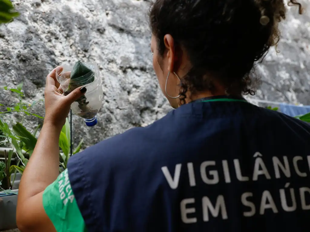 Sa De Brasil Pode Registrar At Milh Es De Casos De Dengue Em