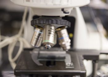 Inovação tecnológica conta com novo incentivo legal