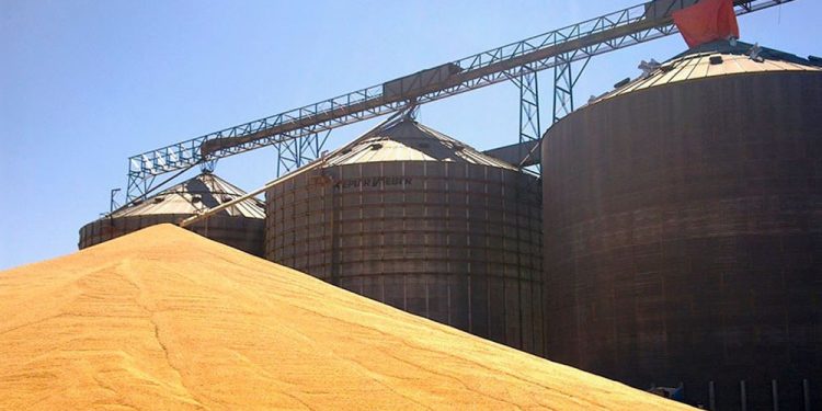 Sancionada lei que dá a pequenos produtores de animais acesso a milho da Conab