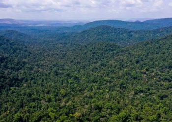 EUA anunciam US$ 500 milhões para Fundo Amazônia em cinco anos