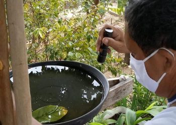 Dia D de combate ao mosquito Aedes aegypti acontecerá neste sábado em GV
