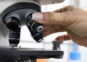 Nota máxima: curso de Biomedicina recebe avaliação máxima do MEC