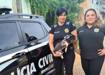 Cão vítima de maus-tratos é resgatado pela polícia em Valadares