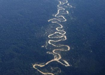 Garimpeiros reagem à ação da PRF e morrem na Terra Indígena Yanomami