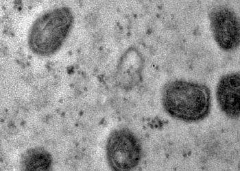 OMS declara fim da emergência em saúde por mpox