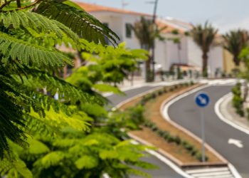 Síndico ou guarda de trânsito? O poder de aplicar multa nos condutores infratores dentro do condomínio