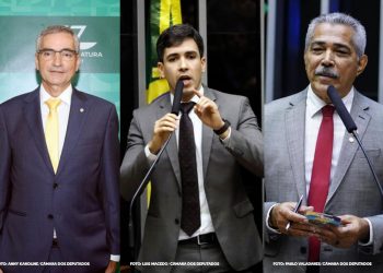 Plataforma calcula desempenho de deputados e senadores mineiros