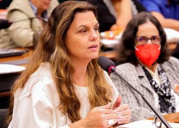 Coordenadora da Univale representa Conselho de Arquitetura em seminário da Câmara dos Deputados