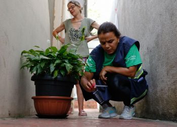 OMS se prepara para disseminação de viroses associadas ao El Niño