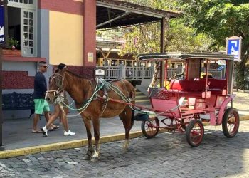 Coluna MG | 6 de junho de 2023