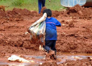 Coluna MG | 19 de junho de 2023
