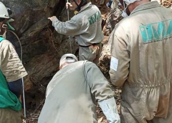 IMA captura morcegos para prevenir raiva animal em Guanhães