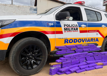 Operação de forças de segurança apreende mais de 150 tabletes de maconha no Leste de Minas