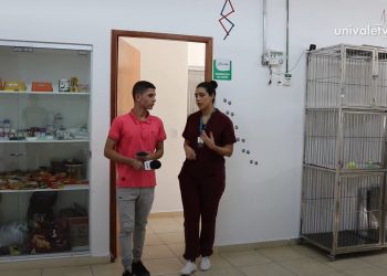 Centro Médico Veterinário de pequeno porte da Univale oferece internação humanizada para animais da região