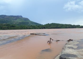 Univale recebe Seminário de Ciência Cidadã na Bacia do Rio Doce