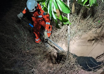 Cão preso em vala é resgatado por militares do Corpo de Bombeiros