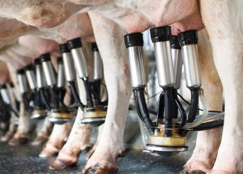 Coluna MG | 10 de julho de 2023