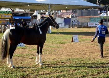 Começa oficialmente a 52ª Expoagro-GV; evento deve receber mais de 200 mil pessoas
