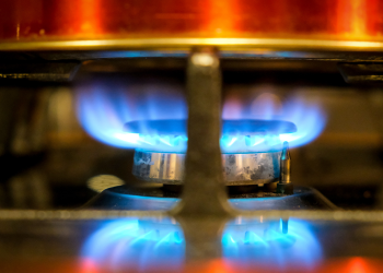 Mulher é agredida pelo companheiro em Valadares por não ter cozinhado carne