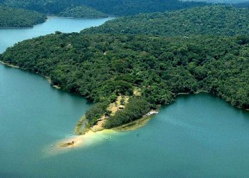 Governo abre consulta pública sobre concessão de serviços de visitação no Parque Estadual do Rio Doce