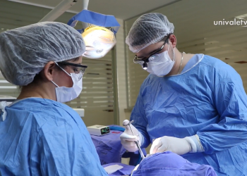 Egressos UNIVALE: mais de 30 mil profissionais se destacam no mercado