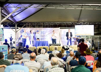 Cooperativa realiza webinário Ciclo do Plantio durante a Expoagro-GV 