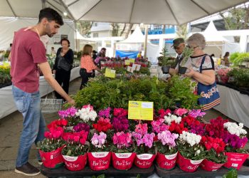 Começa a 17ª edição da Festa das Flores em Valadares