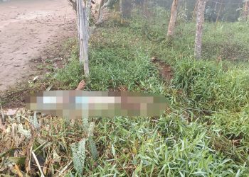 Homem pode ter morrido eletrocutado; Polícia Civil investiga o caso