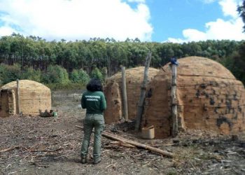 Operação de fiscalização no Alto Jequitinhonha coíbe irregularidades na cadeia do carvão vegetal
