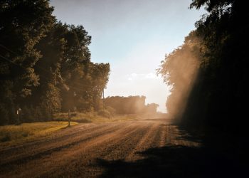 Meu pai, o contador de histórias