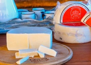 Queijo Minas Artesanal do Cerrado obtém reconhecimento de Indicação Geográfica