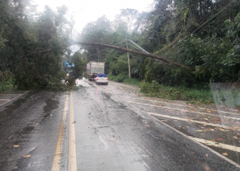Valadares registra rajada de vento de 97,5 km/h