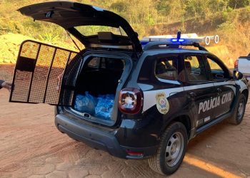 Polícia Civil incinera cerca de 20 kg de drogas em Peçanha