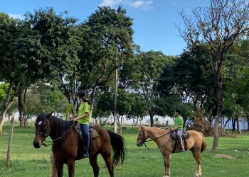 Dia Nacional da Equoterapia: Equovila atende gratuitamente em Valadares