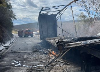 Homem morre carbonizado em acidente na BR-116