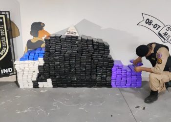 PM apreende quase meia tonelada de maconha em Kombi