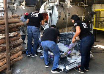 Polícia Civil queima quase 430 kg de maconha