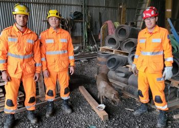 Bombeiros resgatam cadela presa em buraco