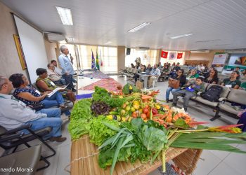 Valadares sedia Conferência de Segurança Alimentar e Nutricional Sustentável Território Rio Doce