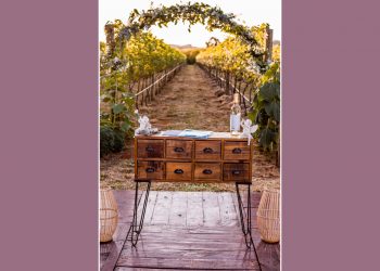 Novo vinho brasileiro | Novas experiências do enoturismo