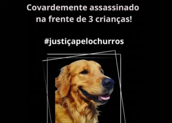 Militar reformado é preso após matar cão em praia de Guarapari