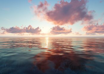 O que merece sua verdadeira dedicação?