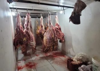 Dono de abatedouro clandestino é preso por comercializar carne imprópria