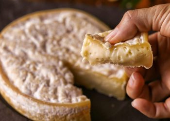Queijo valadarense conquista o ouro na França