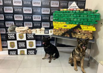 Polícia prende sete em operação contra o tráfico de drogas