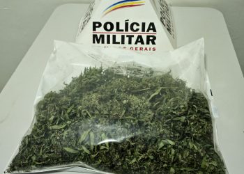 Polícia encontra maconha escondida em panela