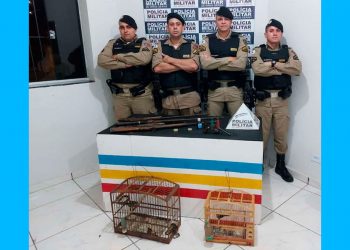Idoso é preso com armas e pássaros silvestres