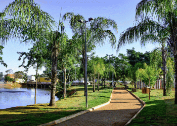 Crianças são encontradas procurando comida no lixo em praça do bairro Castanheiras