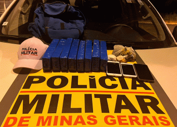 Polícia apreende drogas dentro de carro na BR-259