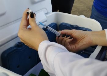 Dia D da Campanha de Multivacinação é neste sábado